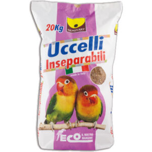 Uccelli inseparabili o parrocchetti