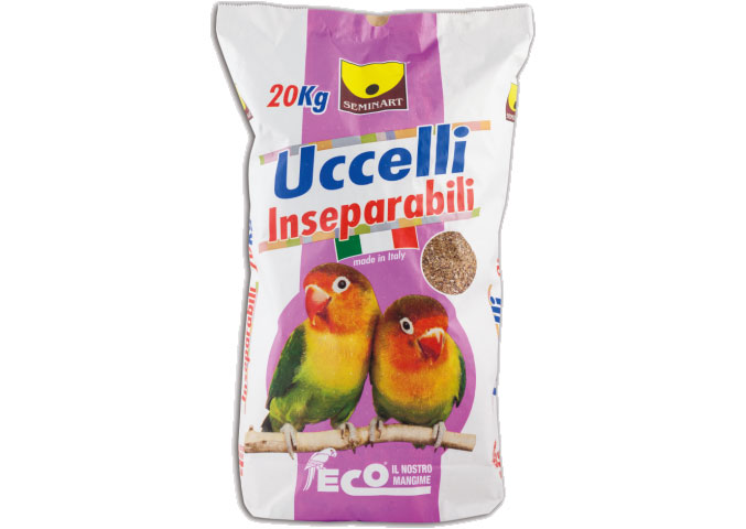 Uccelli inseparabili o parrocchetti